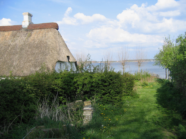 Dalsgaard, Rinkenæs